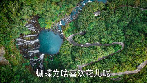 蝴蝶为啥喜欢花儿呢