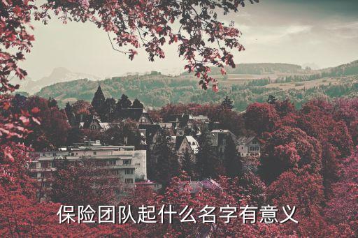 保险团队起什么名字有意义