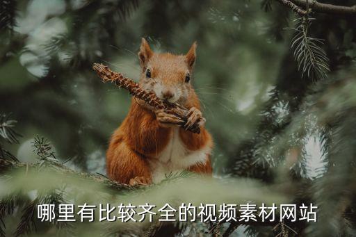哪里有比较齐全的视频素材网站