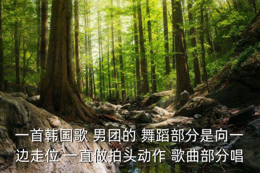 一首韩国歌 男团的 舞蹈部分是向一边走位 一直做拍头动作 歌曲部分唱