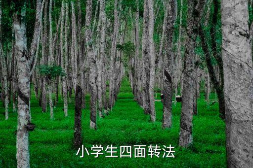 小学生四面转法