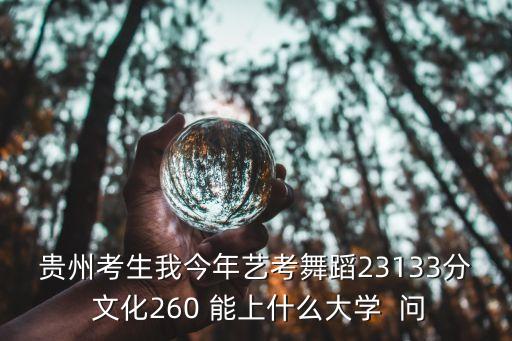 贵州考生我今年艺考舞蹈23133分 文化260 能上什么大学  问