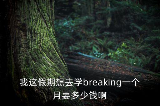 我这假期想去学breaking一个月要多少钱啊