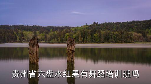 贵州省六盘水红果有舞蹈培训班吗