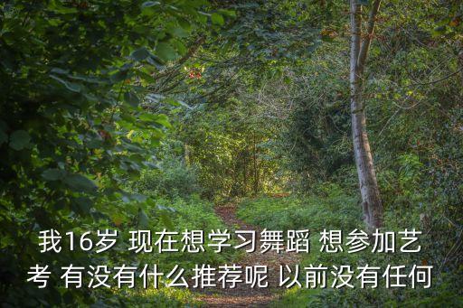 我16岁 现在想学习舞蹈 想参加艺考 有没有什么推荐呢 以前没有任何