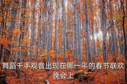 广场舞掌声在哪里，沈阳的艺尊舞蹈用品专卖在哪里啊请告诉我具体的位置乘几路公交