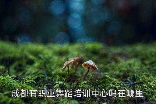 成都舞蹈培训班有哪些，成都有职业舞蹈培训中心吗在哪里