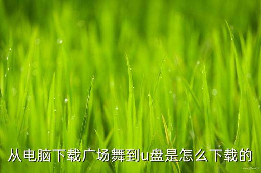 从电脑下载广场舞到u盘是怎么下载的