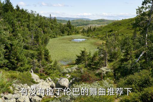 茉莉广场舞伦巴舞有哪些，茉莉广场舞 的桑巴舞叫什么名字