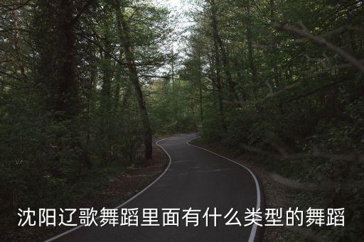 沈阳辽歌舞蹈里面有什么类型的舞蹈