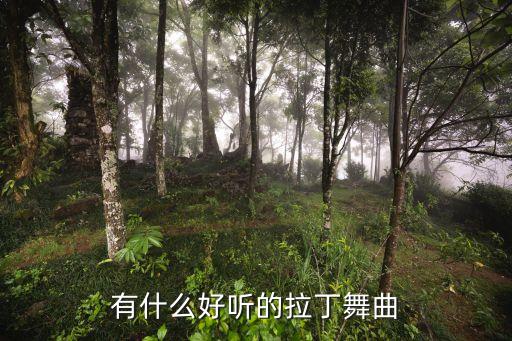 有什么好听的拉丁舞曲