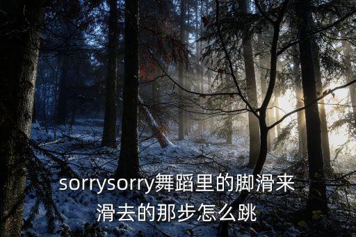亲爱的不要把我忘记广场舞怎么跳，sorrysorry舞蹈里的脚滑来滑去的那步怎么跳