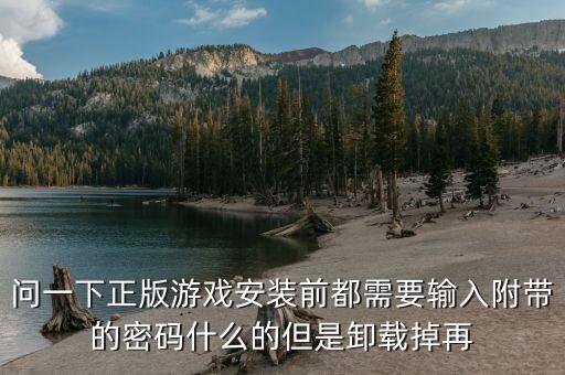 摸摸鱼正版游戏安装，请问现在玩正版游戏实体版还需要插盘玩吗
