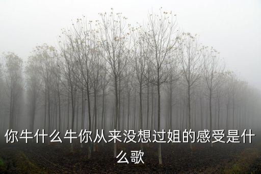 你牛什么牛你从来没想过姐的感受是什么歌