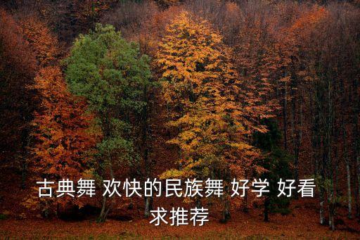 古典舞 欢快的民族舞 好学 好看 求推荐