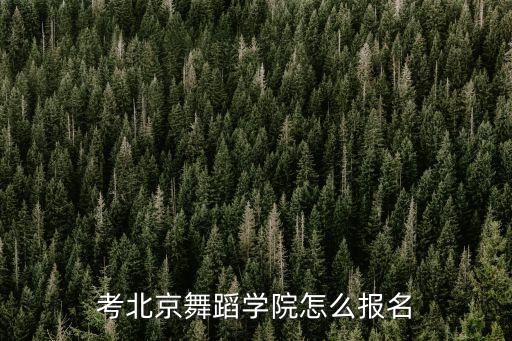 考北京舞蹈学院怎么报名