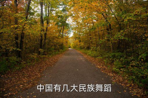 中国有几大民族舞蹈