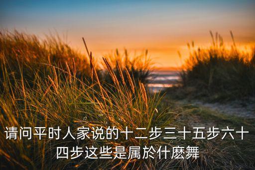 请问平时人家说的十二步三十五步六十四步这些是属於什麽舞