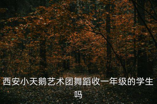 西安小天鹅艺术团舞蹈收一年级的学生吗