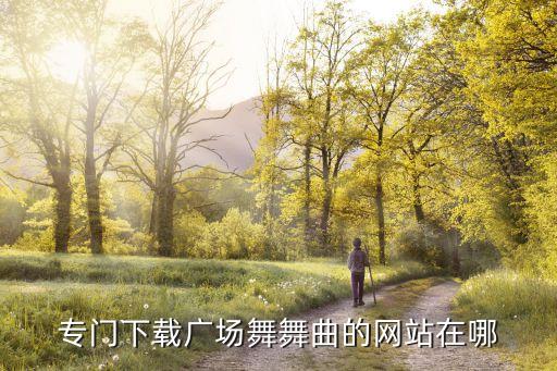 什么网站可以下载广场舞音乐，现在有什么网站软件可以下载一些广场舞之类的MV要求能复制