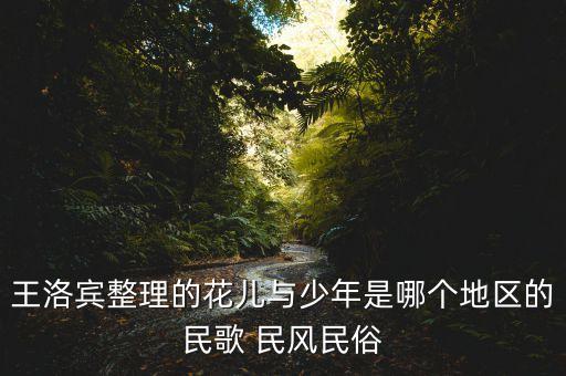 花儿与少年哪个民族，王洛宾整理的花儿与少年是哪个地区的民歌