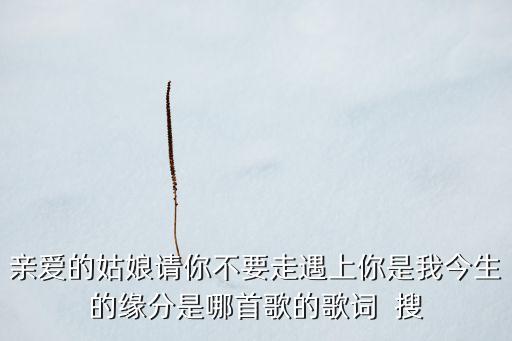 亲爱的姑娘请你不要走遇上你是我今生的缘分是哪首歌的歌词  搜