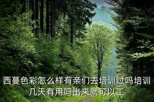 西蔓色彩怎么样有亲们去培训过吗培训几天有用吗出来就可以工