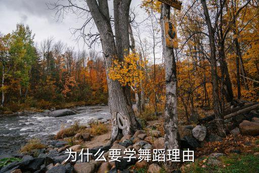 为什么选择舞蹈，帮我回答下面这2个问题你如何做好一位文艺工作者你为什么选择