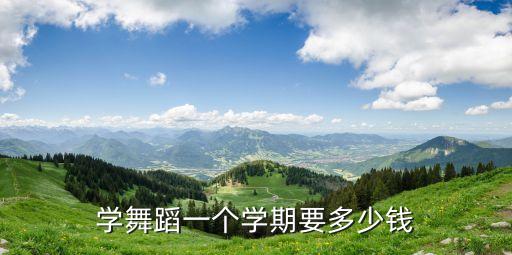 学舞蹈一个学期要多少钱