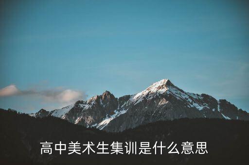 高中美术生集训是什么意思