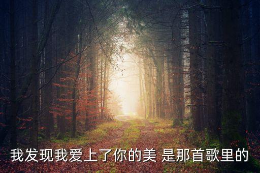 我发现我爱上了你的美 是那首歌里的
