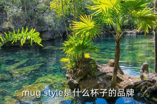 mug style是什么杯子的品牌
