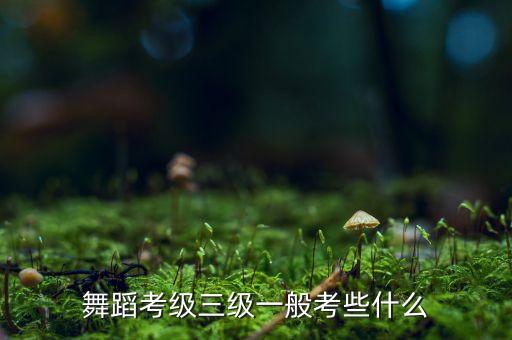 儿童舞蹈三级考什么，舞蹈考级三级一般考些什么