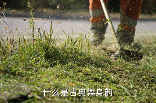 什么是古典舞身韵