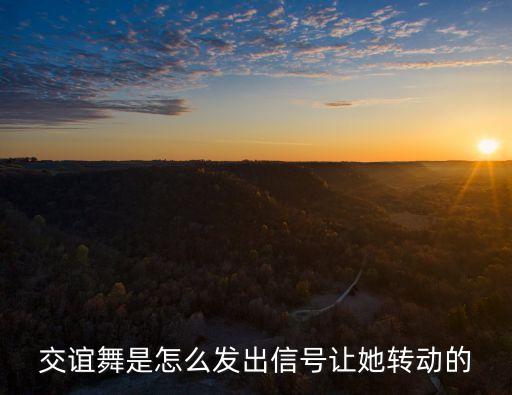 交谊舞是怎么发出信号让她转动的