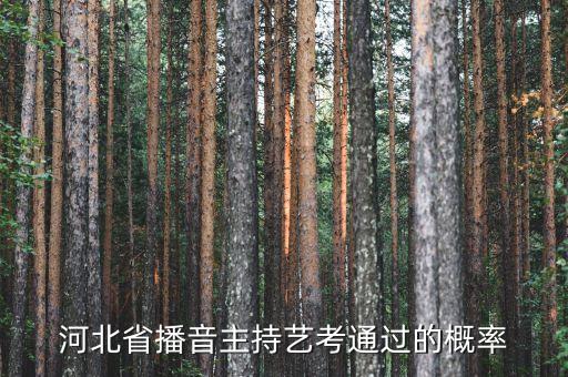 河北省播音主持艺考通过的概率