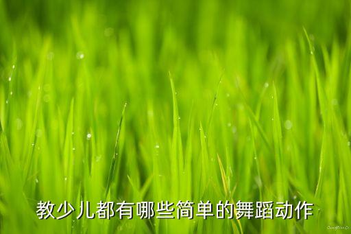 教少儿都有哪些简单的舞蹈动作