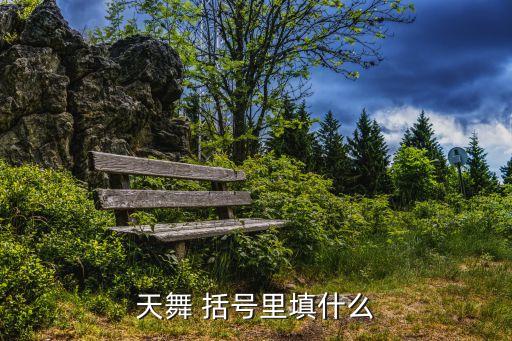 天舞 括号里填什么