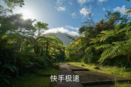 快手极速