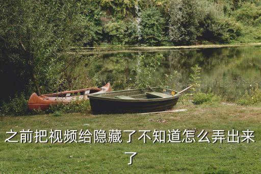 之前把视频给隐藏了不知道怎么弄出来了
