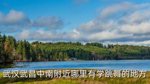 武汉武昌中南附近哪里有学跳舞的地方