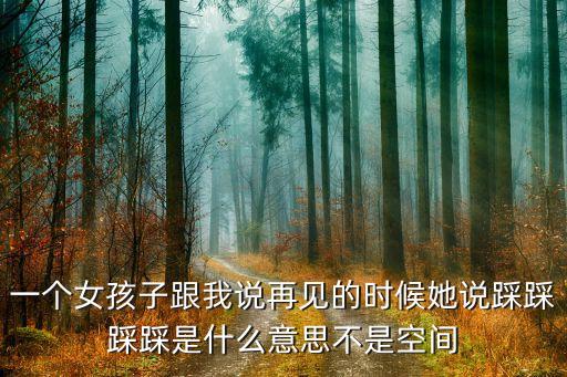 一个女孩子跟我说再见的时候她说踩踩踩踩是什么意思不是空间