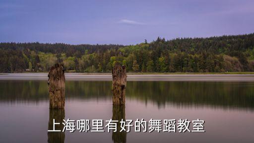 上海哪里有好的舞蹈教室