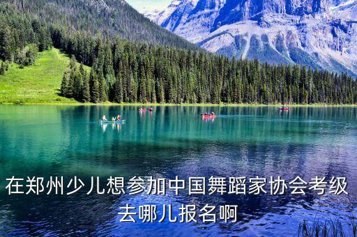 在郑州少儿想参加中国舞蹈家协会考级去哪儿报名啊