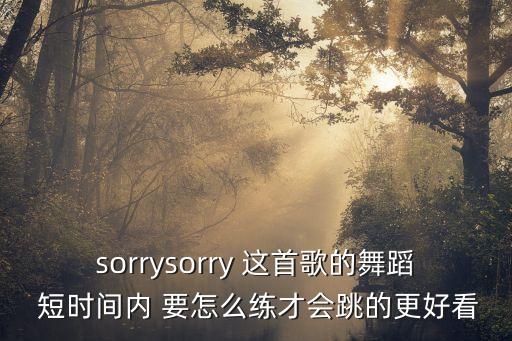 sorrysorry 这首歌的舞蹈 短时间内 要怎么练才会跳的更好看