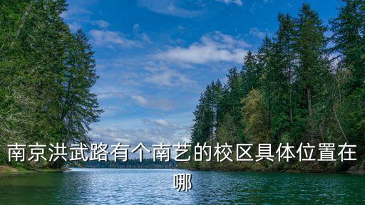 南京舞蹈学院地址在哪里，南艺的舞蹈学院