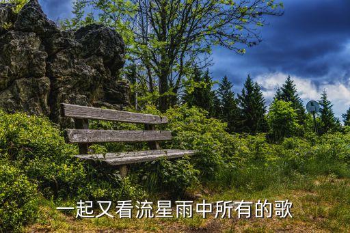 一起又看流星雨中所有的歌