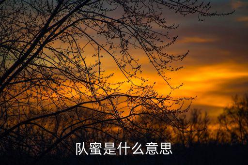 队蜜是什么意思