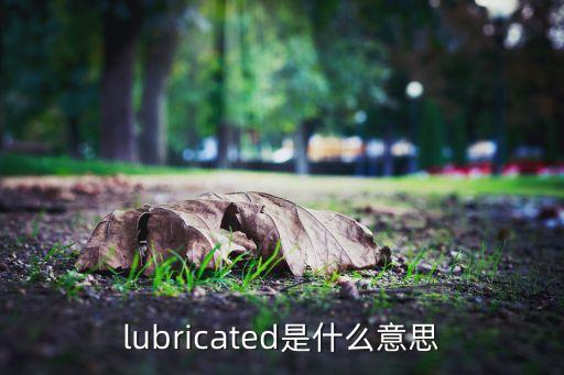 lubricated是什么意思