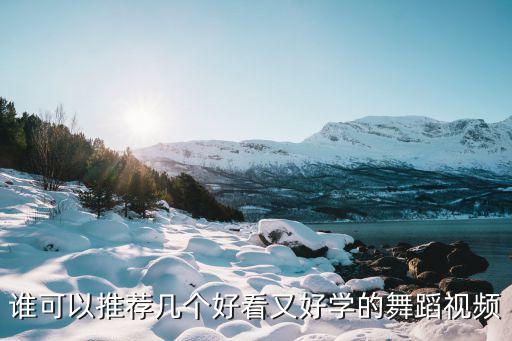 易学的舞蹈视频，谁可以推荐几个好看又好学的舞蹈视频